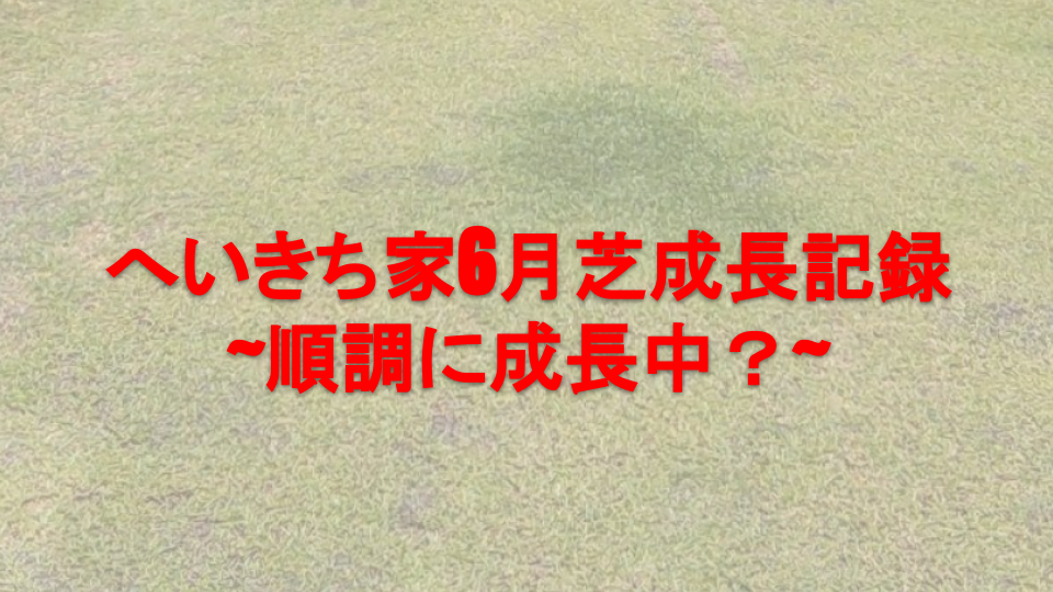 へいきち家芝生成長記録 22年6月期 へいきちの雑記ブログ